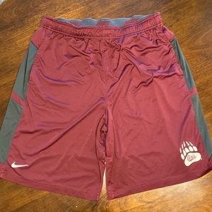 Nike dri fit Montana Grizzlies athletic shorts men’s XL